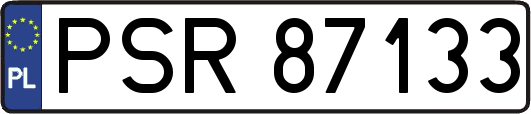 PSR87133