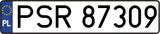 PSR87309