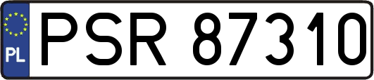 PSR87310