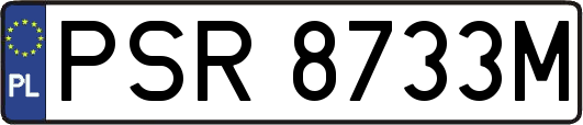 PSR8733M