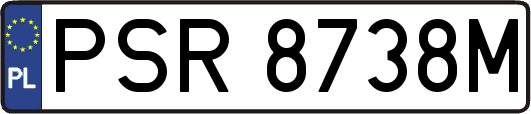 PSR8738M