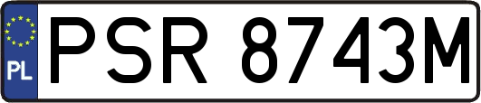 PSR8743M