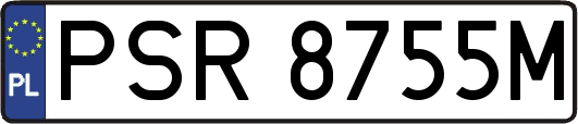 PSR8755M