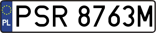 PSR8763M