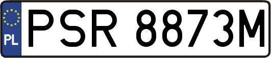 PSR8873M
