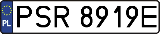 PSR8919E