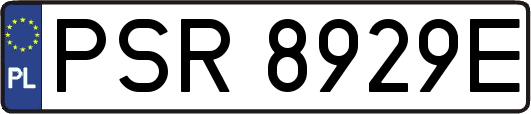PSR8929E