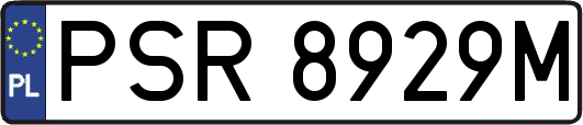 PSR8929M