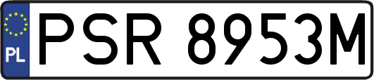 PSR8953M