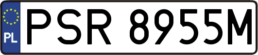 PSR8955M