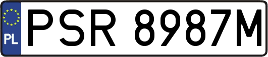 PSR8987M
