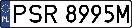 PSR8995M