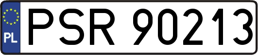PSR90213