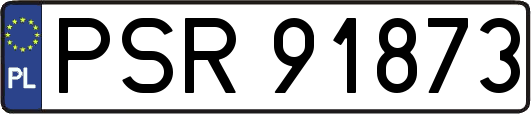 PSR91873