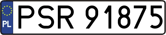 PSR91875