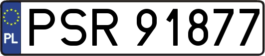 PSR91877