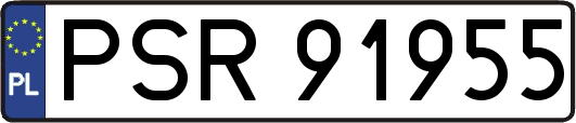 PSR91955