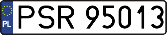 PSR95013