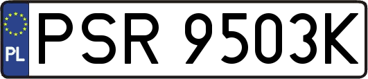 PSR9503K