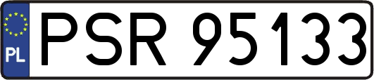 PSR95133