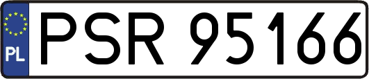 PSR95166