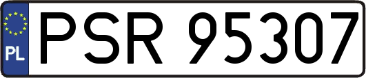 PSR95307