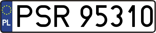 PSR95310