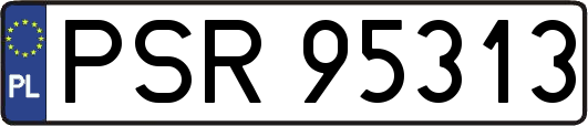 PSR95313