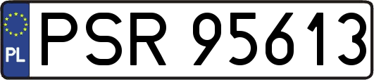 PSR95613
