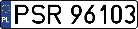 PSR96103