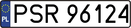 PSR96124