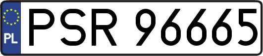 PSR96665