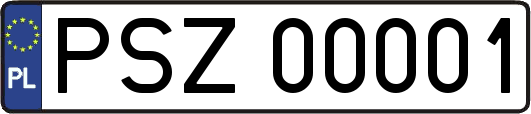 PSZ00001