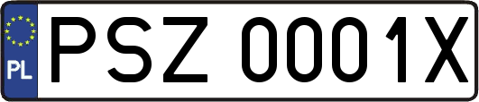 PSZ0001X