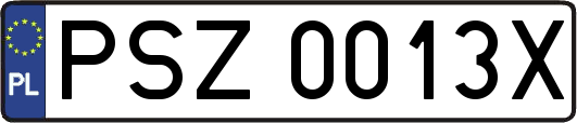PSZ0013X