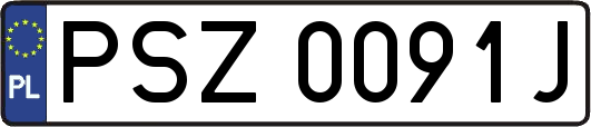 PSZ0091J