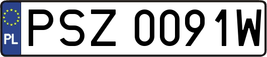 PSZ0091W