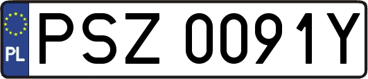 PSZ0091Y