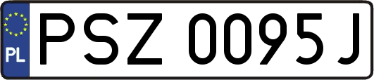 PSZ0095J