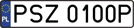 PSZ0100P