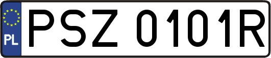 PSZ0101R