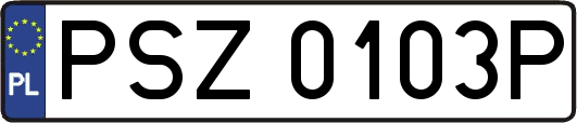 PSZ0103P
