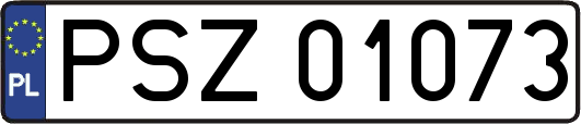 PSZ01073
