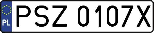 PSZ0107X