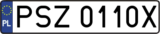 PSZ0110X