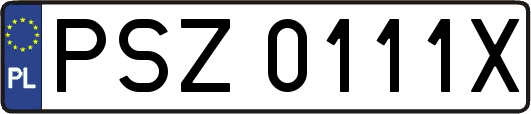 PSZ0111X