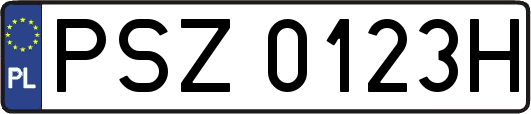 PSZ0123H