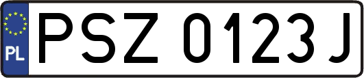 PSZ0123J
