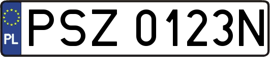 PSZ0123N