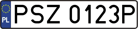 PSZ0123P